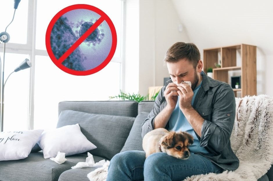 Best Air Conditioner for Allergies in Australia (2026 Guide)