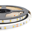 Starco Led Strip Light Star Sparky Direct