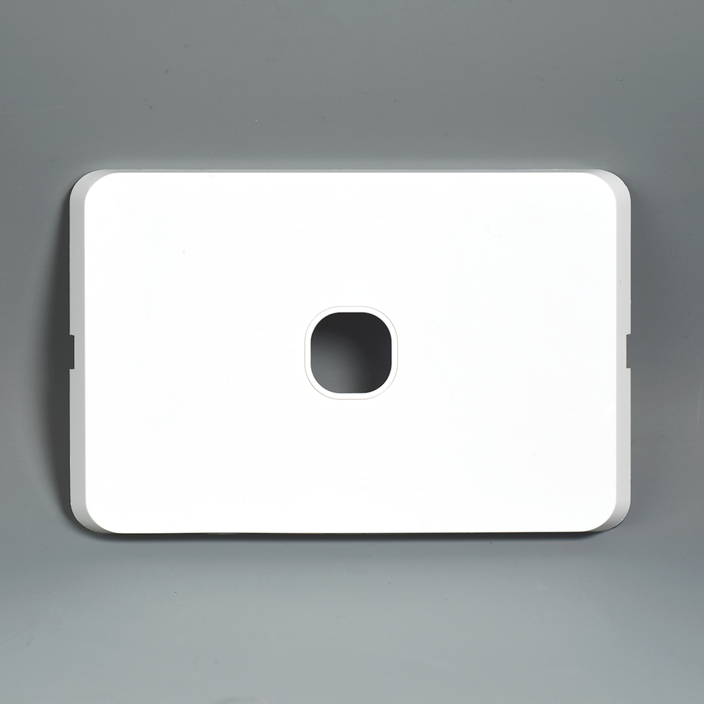 RS201 Blank Plate W/One Hole