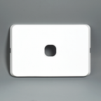 RS201 Blank Plate W/One Hole