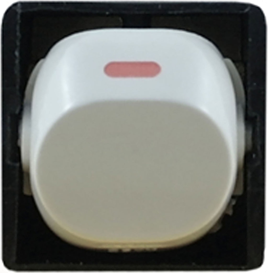 Switch Mech 35A Double Pole White